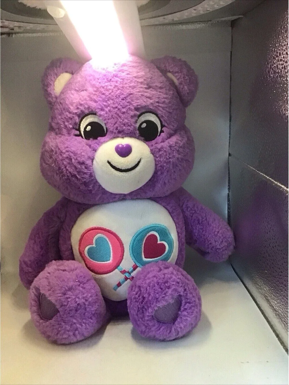 Care Bears Purple Share Bear 14